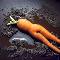 Root XXXIV by Willem De Rooij contemporary artwork photography, print