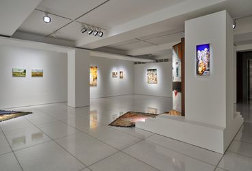 Exhibition view: Noh Sangho, Noh Sangho: Holy, ARARIO GALLERY, Seoul (29 February–20 April 2024). Courtesy ARARIO GALLERY.