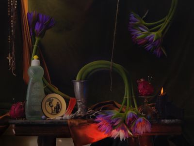 Still Life with Waterlilies, Dragon Fruit and Sphynx, Ripiro by Fiona Pardington contemporary artwork