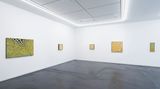 Contemporary art exhibition, Minoru Onoda, Minoru Onoda at Taka Ishii Gallery, Complex665, Tokyo, Japan