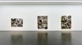 Contemporary art exhibition, Kang Kyungkoo, Density 숲 at Wooson Gallery, Daegu, South Korea