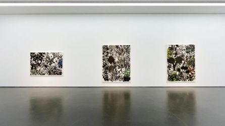 Exhibition view: Kang Kyung-koo, Density 숲, Wooson Gallery, Daegu (9 June–8 September 2022). Courtesy Wooson Gallery.