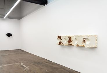 Lewis Fidock & Joshua Petherick  Exposable mines and the impious canto, 2024 (installation view)  