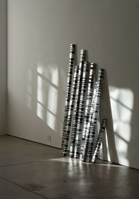 When Dickinson Shut Her Eyes: No. 689THE ZEROES - TAUGHT US - PHOSPHORUS by Roni Horn contemporary artwork sculpture