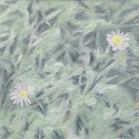 들꽃 09 Wildflowers, held their breath by Lim Nosik contemporary artwork painting