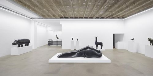 Exhibition view: Daniel Daviau, Anima, Dumonteil Contemporary, Paris (30 November 2023–12 January 2024). Courtesy Dumonteil Contemporary, Paris.
