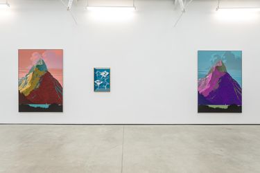 Exhibition view: Alex Dordoy, The Weather Channel, The Modern Institute, Osborne Street, Glasgow (3 September–30 October 2021). Courtesy the Artist and The Modern Institute/Toby Webster Ltd, Glasgow. Photo: Patrick Jameson.