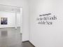 Contemporary art exhibition, Nikko Washington, For the Old Gods and the New at Kavi Gupta, Washington Blvd, Chicago, United States