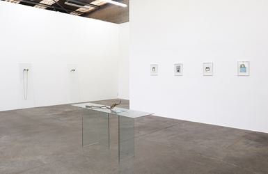 Exhibition view: Zina Swanson, For Vivian, Jonathan Smart Gallery (24 May–22 June 2019). Courtesy Jonathan Smart Gallery. 