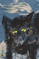 Old black cat and red rubber ball by Jenny Watson contemporary artwork 9