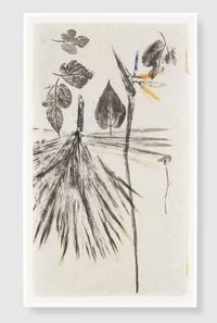 Maria's Garden Studies by Simryn Gill contemporary artwork painting, works on paper, drawing