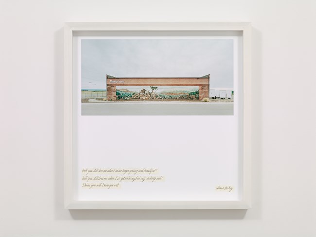 Sunset Boulevard, Long Valley Junction, Utah, #006 by Francesco Jodice contemporary artwork