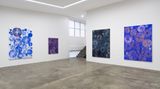Contemporary art exhibition, John Reynolds, Some Greater Plan (for Claire) at Starkwhite, Auckland, New Zealand