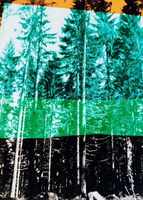 Wald in vier Farben by Frank Mädler contemporary artwork