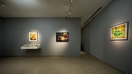 Exhibition view: Chen Tao-Ming, Lin & Lin Gallery, Taipei (5 December 2023–13 January 2024). Courtesy Lin & Lin Gallery, Taipei.