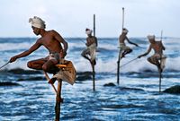 Stilt Fisherman, South Coast, Sri Lanka by Steve McCurry contemporary artwork print