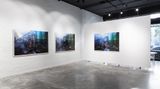 Contemporary art exhibition, Jill Orr, Detritus Springs at THIS IS NO FANTASY, Melbourne, Australia