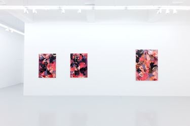 Exhibition view: André Hemer, Images Cast by the Sun, Yavuz Gallery, Singapore (22 November–22 December 2019). Courtesy the artist and Yavuz Gallery.