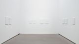 Contemporary art exhibition, Carsten Nicolai, formula at Galerie Eigen + Art, Berlin, Germany