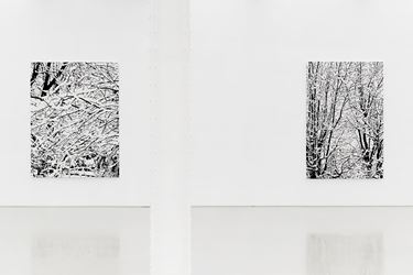 Exhibition view: Farhad Moshiri, Snow Forest, Galerie Perrotin, New York (5 November–23 December 2017). Courtesy the Artist and Galerie Perrotin. Photo: Guillaume Ziccarelli