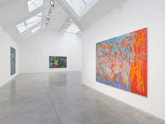 Exhibition view: Group Exhibition, Accordion Fields, Lisson Gallery, London (23 February–4 May 2024). Courtesy Lisson Gallery.