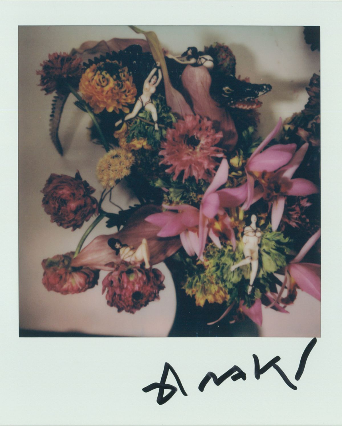 Araki (Portfolio)／Nobuyoshi Araki Stern Publication: Sachin - Nobuyoshi Araki | IBASHO