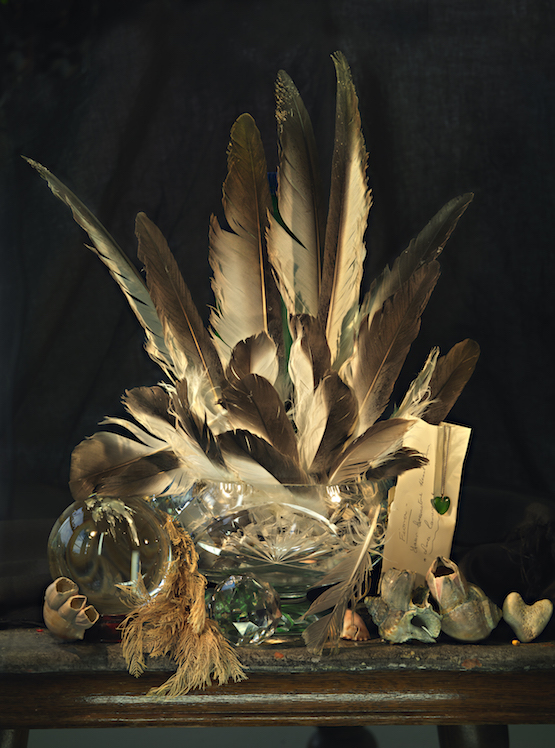 Fiona Pardington, Still Life with Albatross Feathers with Pounamu and Coral Hearts, Ripiro, 2013. Archival inkjet print, gesso and acrylic polymer on canvas, 1100 x 850mm. Image