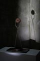 Shine by Chen Ting-Shih contemporary artwork 3