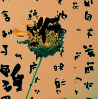 Grain Rain Series-Flower with Flying Text 16-Heart Sutra Version by Hung Keung contemporary artwork moving image