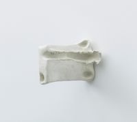 Untitled by Paulo Monteiro contemporary artwork sculpture