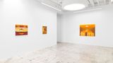 Contemporary art exhibition, Jen Hitchings, Seven Suns at Anat Ebgi, Mid Wilshire, United States