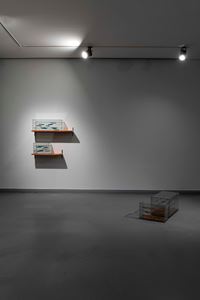 Kambriyenden Bu Yana Operatörler(II) - Fragman/Operators from the Cambrian Onwards(II) - Fragment by Gülşah Mursaloğlu contemporary artwork installation