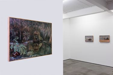 Exhibition view: Alberto Baraya, Estudios Comparados de Paisaje, Galeria Nara Roesler, Rio de Janeiro (23 November 2018–9 February 2019). Courtesy Galeria Nara Roesler.