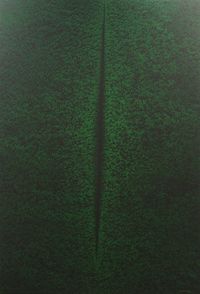 Hijau (Lucio Fontana series no.8) by Rudi Mantofani contemporary artwork painting