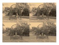 1914 (Garden) by Samson Kambalu contemporary artwork moving image