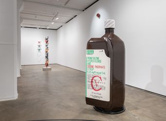 Exhibition view: Awol Erizku, Delirium of Agony, Sean Kelly, New York (8 September–21 October 2023). Courtesy the artist and Sean Kelly, New York/Los Angeles. Photo: Adam Reich.
