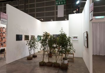 Trevor Yeung, Garden Cruising: It's not that easy being green (2015). Exhibition view: Blindspot Gallery, Art Basel Hong Kong 2015 (dates). Courtesy Blindspot Gallery.Image from:Treading Softly with Trevor YeungRead InsightFollow ArtistEnquire