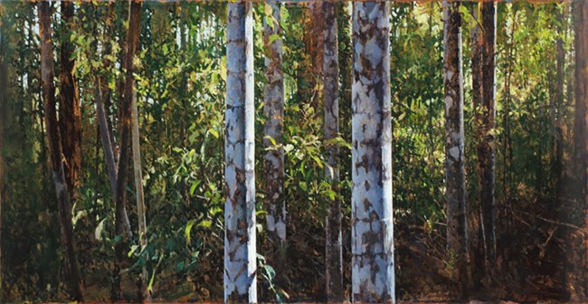 Paynter Creek, Rainforest No.5 by A. J. Taylor contemporary artwork