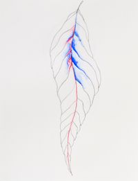 Leaf with a Red Spine by Grace Schwindt contemporary artwork painting, works on paper, drawing