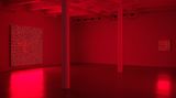 Contemporary art exhibition, Tatsuo Miyajima, Innumerable Life/Buddha at Lisson Gallery, 10th Avenue, New York, USA