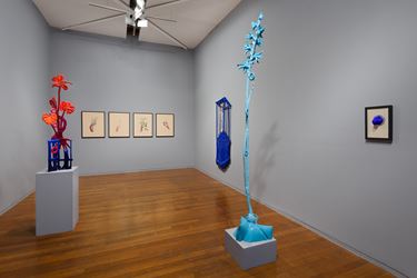 Exhibition view: Caroline Rothwell, Splice, Roslyn Oxley9 Gallery, Sydney (9–31 August 2019). Courtesy Roslyn Oxley9 Gallery. Photo: Luis Power.