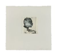 Then Comes Thunder by Lorna Simpson contemporary artwork works on paper, photography