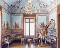 Love at First Sight, Palazzina Cinese by Karen Knorr contemporary artwork photography