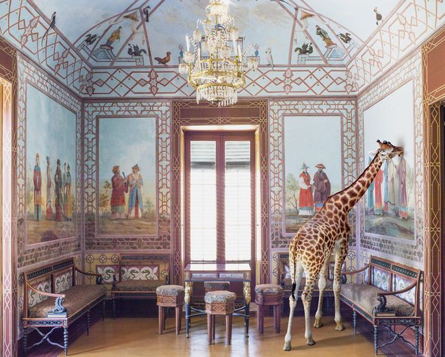 Love at First Sight, Palazzina Cinese by Karen Knorr contemporary artwork