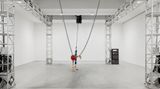 Contemporary art exhibition, Jordan Wolfson, Jordan Wolfson at David Zwirner, New York: 19th Street, United States