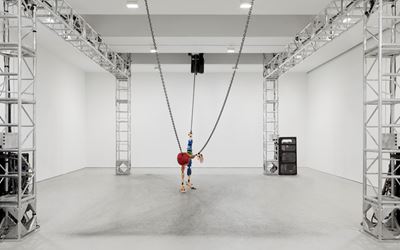 Exhibition view: Jordan Wolfson, David Zwirner, New York (5 May–25 June 2016). Courtesy David Zwirner, New York.