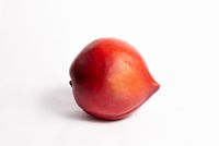 Peach by Fay Ming contemporary artwork sculpture