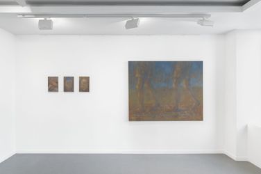 Contemporary art exhibition, Fabien Adèle, Blush at Almine Rech, Paris, Rue de Turenne, France