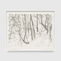 Untitled (branches) by Toba Khedoori contemporary artwork print