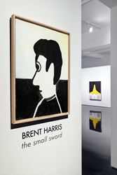 Exhibition view: Brent Harris, the small sword, Tolarno Galleries (28 September–4 November 2017). Courtesy Tolarno Galleries. 
